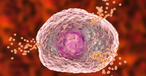 Histamina e Síndrome de Ativação Mastocitária (SAM) O que você precisa saber para melhorar sua vida