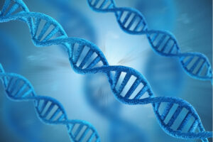 raízes históricas da hipermobilidade